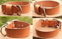 PIT BULL - LEATHER COLLAR 5cm