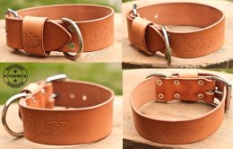 PIT BULL - LEATHER COLLAR 5cm