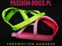 TRAINING HARNESS 3cm