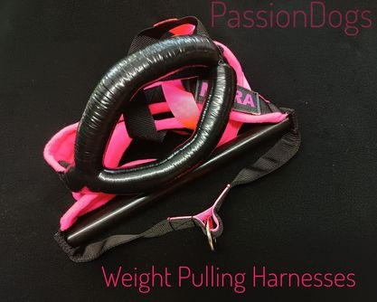 4CM SZELKI DO WEIGHT PULLINGU PRO 4CM SZELKI DO WEIGHT PULLINGU PRO