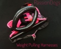 4CM SZELKI DO WEIGHT PULLINGU PRO