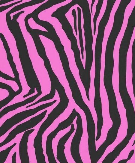 PINK/BLACK ZEBRA SOFSHELL COLLAR 3CM/4CM/5CM PINK/BLACK ZEBRA SOFSHELL COLLAR 3CM/4CM/5CM