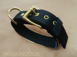 KENNEL COLLAR WITH GOLDEN FITTINGS 4CM