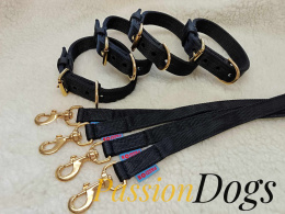 KENNEL COLLAR WITH GOLDEN FITTINGS 3CM