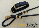 KENNEL COLLAR WITH GOLDEN FITTINGS 3CM