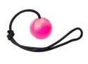SENTENCE BALL - YOUR DOG WILL LOVE IT!