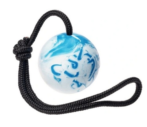 SENTENCE BALL - YOUR DOG WILL LOVE IT!