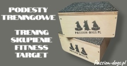 PODEST TRENINGOWY TARGET