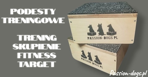 PODEST TRENINGOWY TARGET